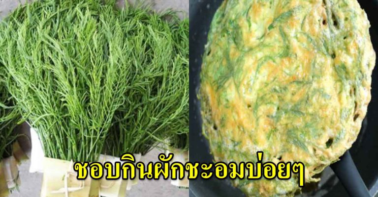 ไข่ทอดชะอม ทานคู่กับน้ำพริกกะปิ คนที่ชอบกินบ่อยๆ