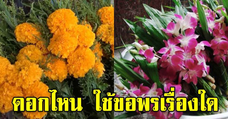 ดอกไม้ สำหรับการบูชา ช่วยเสริมทรัพย์ให้มั่งมี เสริมโชคดี