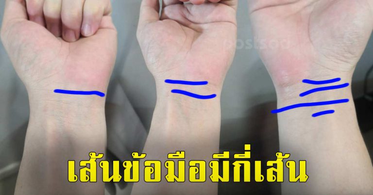 4 เส้นบนข้อมือ ของคุณเส้นไหน มีชีวิตเป็นยังไง