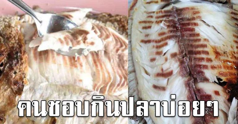 ปลาทอด ปลาต้ม กินปลาเป็นประจำ ดู 7 สิ่งที่ได้