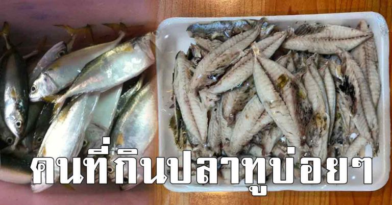 คนที่ทานเนื้อปลาบ่อยๆ รู้เอาไว้ดีสุดๆ