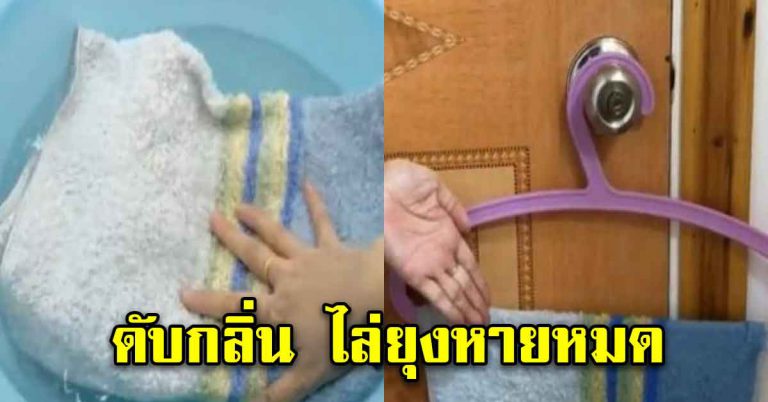 ผ้าผืนเก่า อย่าเพิ่งเอาทิ้งไป นำมาช่วยได้เยอะ ข้ามวันหายเกลี้ยง