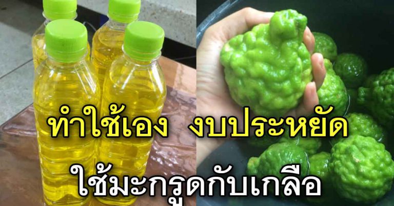 ทำน้ำยาล้างจานเองได้ งบประหยัง ล้างสะอาดไม่เหลือความมัน