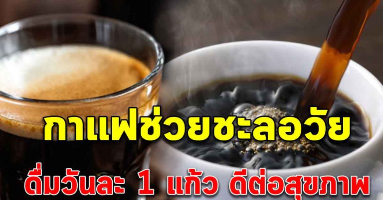 ชงกาแฟดื่ม 1 แก้วทุกวัน มากประโยชน์ คนรักตัวเองต้องรู้