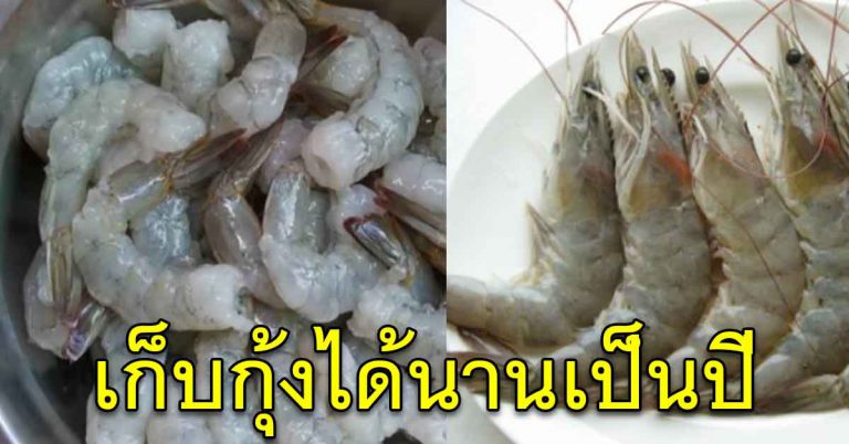 อาหารทะเล กุ้งเก็บไว้นานเป็นปีๆ เนื้อเด้งสดใหม่ ไม่เปลี่ยน