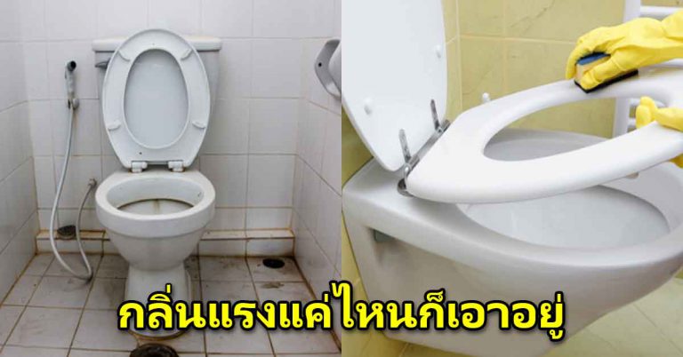 คราบรวมกลิ่นในห้องน้ำ ขัดออกสบาย ด้วยวิธีไม่ยากนี่กันเลย