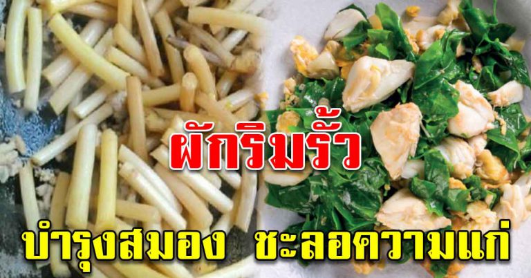 ผักริมรั้วบ้าน 7 ชนิด หยิบมาทำอาหาร ทานได้ทุกวัน