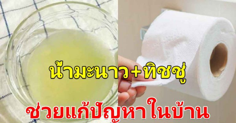 น้ำมะนาว กระดาษทิชชู่ แก้ปัญหาของใช้ในบ้าน ได้หมด