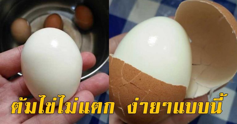 เทคนิค ต้มไข่ ยังไง ไม่ให้แตก ปอกเปลือกง่าย