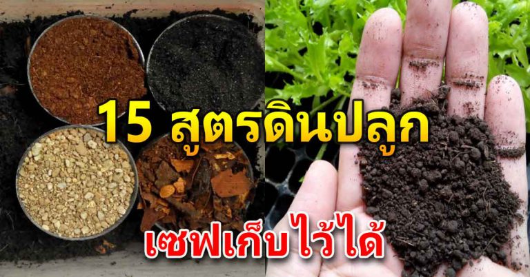 ผสมดินสำหรับปลูกต้นไม้ 15 สูตร ปลูกต้นไม้ได้ทุกชนิด