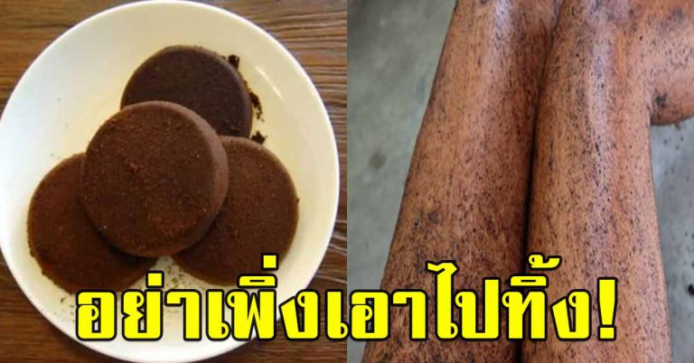 ประโยชน์ 10 อย่างกากกาแฟ เก็บใส่ถุงเอาไว้ ทำได้รอบด้าน