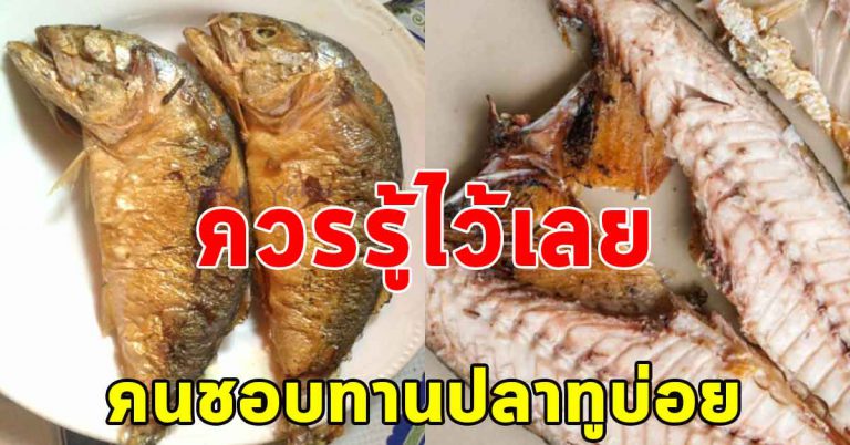 ทอดปลาทูกินกับน้ำพริก ข้าวสวย คนกินปลาบ่อยๆน่ารู้ไว้