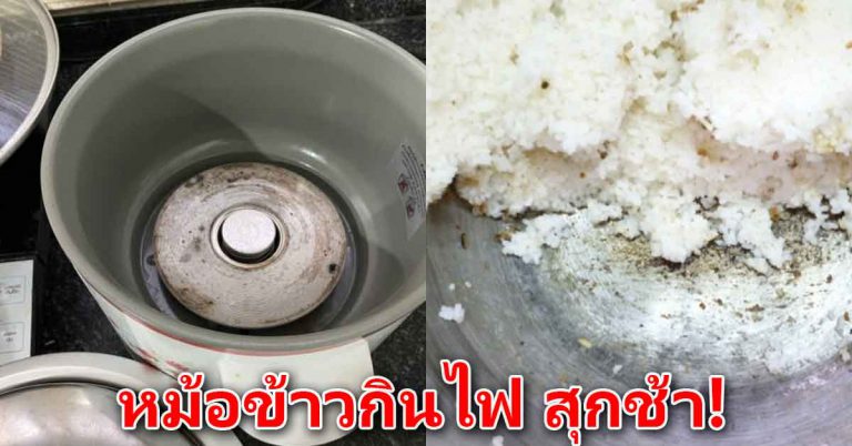 หม้อหุงข้าวกินไฟบ้าน ข้าวหุงสุกช้า แก้ด้วยวิธีนี่