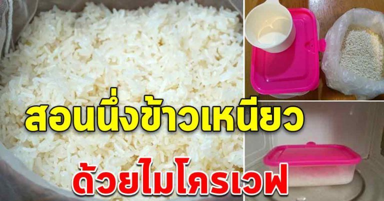 ข้าวเหนียวหุงได้ด้วยเครื่องไมโครเวฟ ได้ข้าวนุ่มๆ ใช้เวลาน้อย