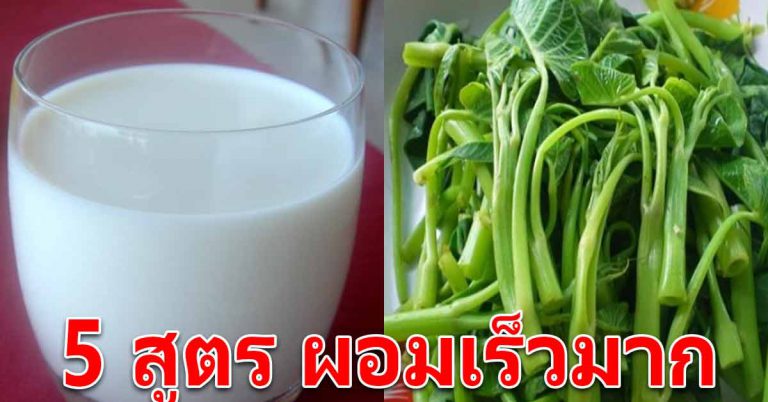 ตัวเบาหวิว หน้าท้องแบนเรียบ สูตรอาหารเครื่องดื่มรสชาติอร่อย