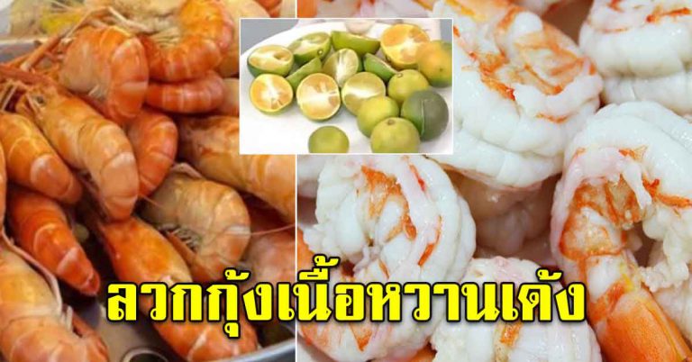 ไม่เคยได้รู้ บอกวิธีในการทำกุ้งให้เนื้อเด้ง เนื้อหวานอร่อย