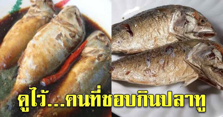 ปลาทูมาทอด ต้ม กินกับข้าวบ่อยๆ ควรได้รู้เอาไว้