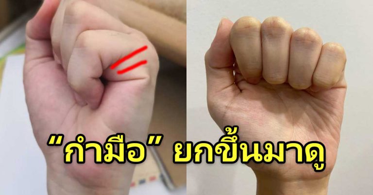 ยกมือขึ้นดู กำมือด้านข้างไว้ นับได้กี่เส้น บอกนิสัยได้ตรง