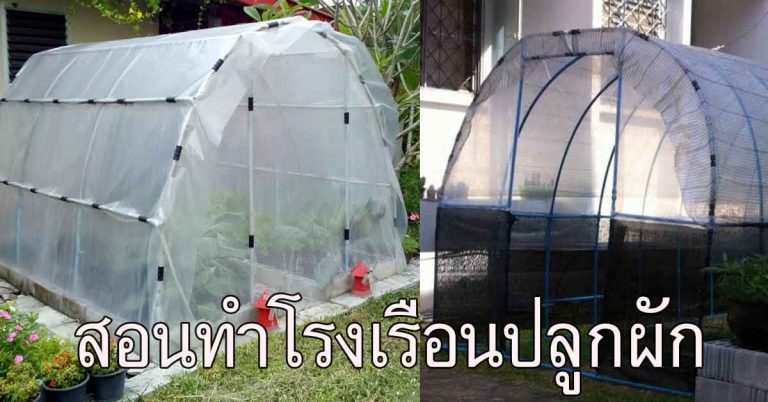 ทําโรงเรือนปลูกผัก ด้วยท่อ pvc งบหลักร้อย คุณภาพหลักหมื่น