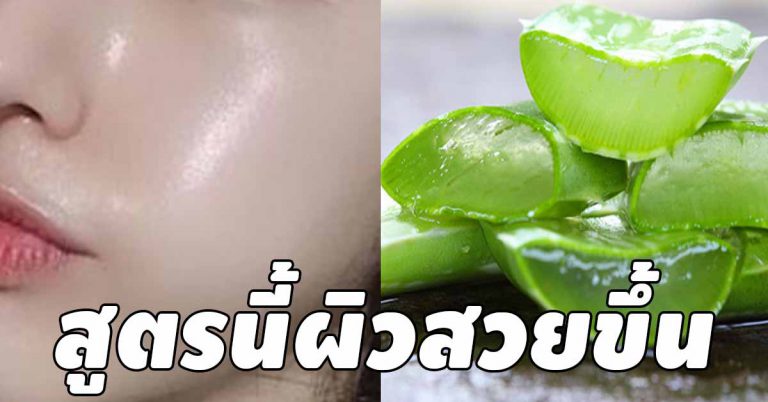 ผิวหน้าใส เนียนนุ่ม ใช้ว่านหางจระเข้ผสมกับ 4 สิ่ง ข้ามคืนก็สวย