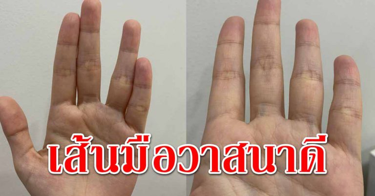 มือคนวาสนาดี อนาคตมั่งมีเงินเศรษฐี ลายเส้นแบบนี่