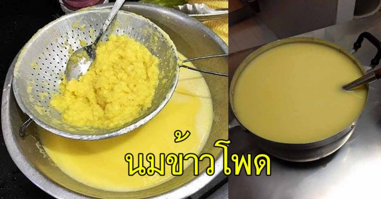 วิธีทำนมข้าวโพด หอมมัน สูตรละเอียด ทำตามได้จริง