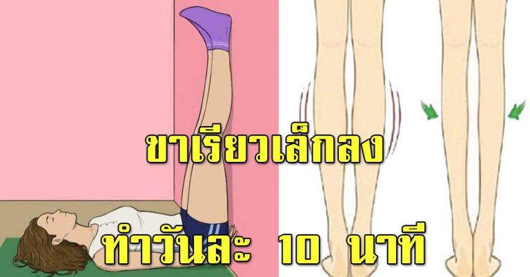 ยกพิงกำแพงเอาไว้ วันละ10นาที ทำทุกวัน ขาเรียวเล็ก