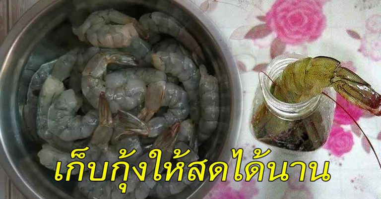 9 วิธีเก็บของสด เก็บกุ้งสดให้ได้นาน แนะเซฟไว้ทำตามได้