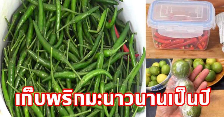 ทริคการเก็บง่ายๆ สดใหม่อยู่ได้นานมากขึ้น ไม่ต้องทิ้งเสียดาย