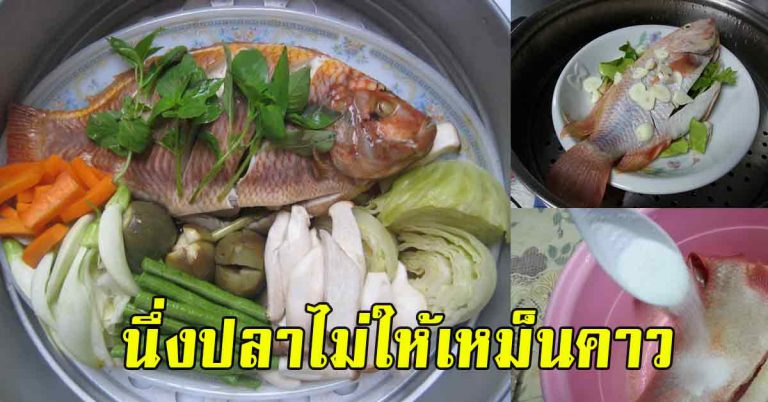 แม่ครัวร้านดังเผย เคล็ดลับเมนูปลาให้อร่อย เพียง 4 อย่างเอาอยู่