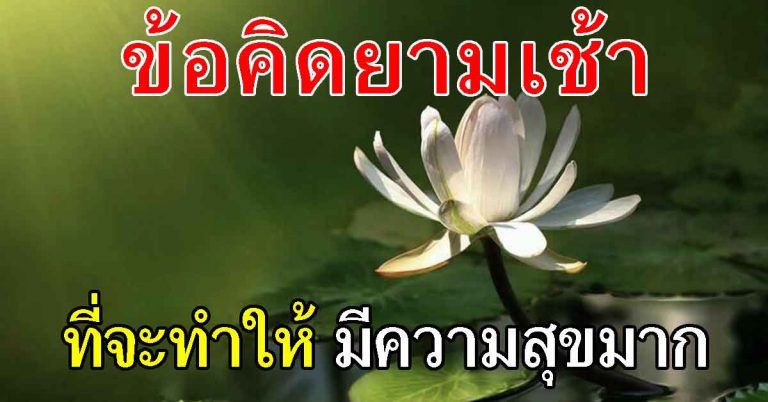 10 อย่าง ให้ตั้งใจทำ จะสุขกายสบายใจในการดำเนินชีวิต