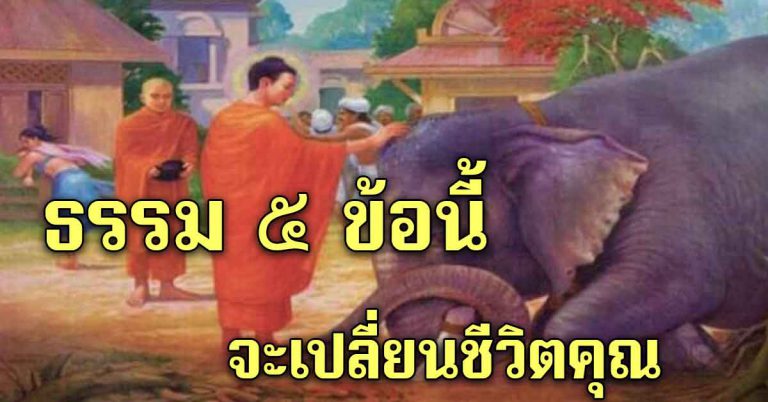 5 สิ่งเหล่านี่ หากเข้าใจ คุณจะใช้ชีวิตได้ดี อย่างมีความสุข