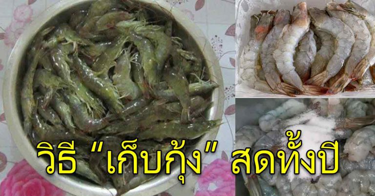 วิธีเก็บกุ้ง ให้อยู่ได้นาน เนื้อหวานสดใหม่ ไม่ทิ้งให้เสียดายของ